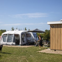 Kamperen prive sanitair hond.jpg
