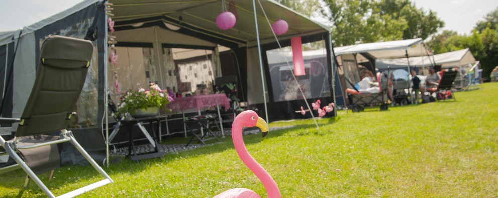 Comfortplaats Camping Zonneweelde