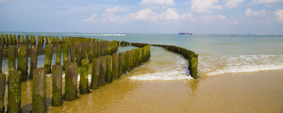 Strand Zonneweelde