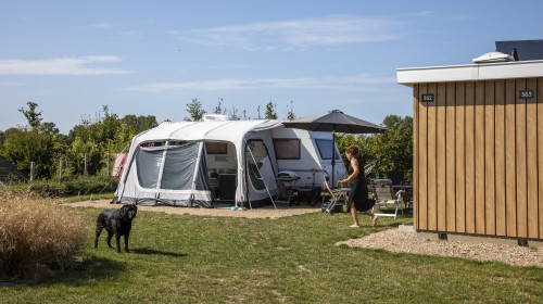 Kamperen prive sanitair hond.jpg
