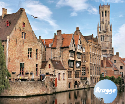 Brugge FB .png