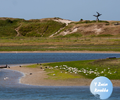 't Zwin Knokke FB .png