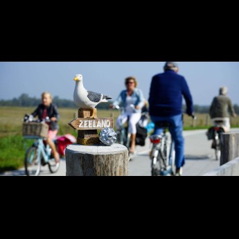 Fiets Huren Zeeland