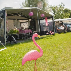 Comfortplaats Camping Zonneweelde