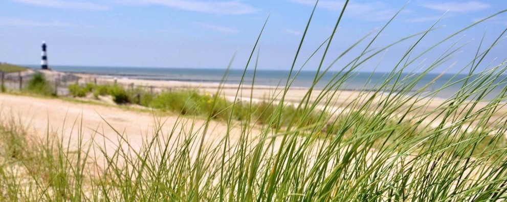 Zomer strand breskens.jpg