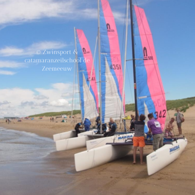 Zwinsport & catamaranzeilschool de Zeemeeuw.png