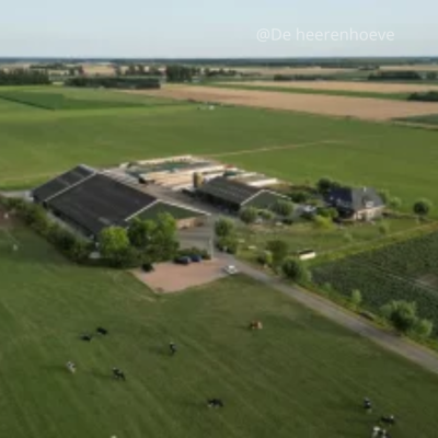 Fotos met vermelding (Facebook-bericht (vierkant)) (28).png