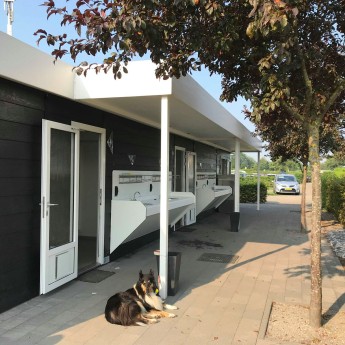 Sanitairgebouw zwart hond - Zonneweelde